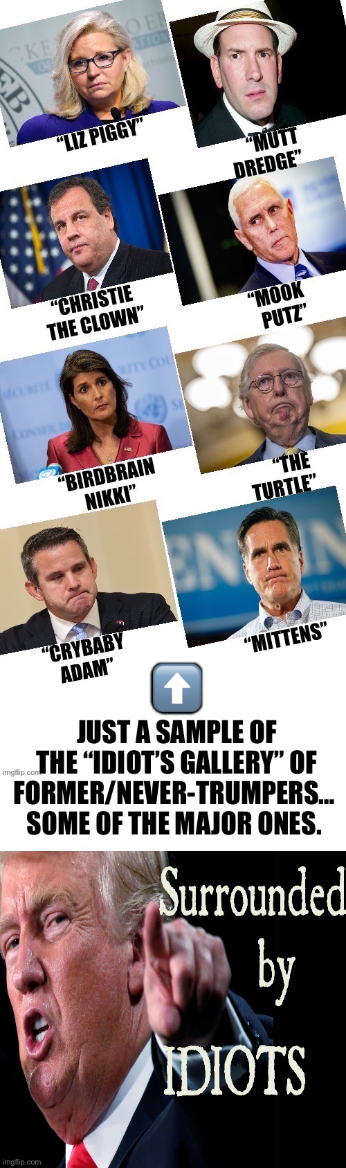 JUST A SAMPLE OF THE “IDIOT’S GALLERY” OF FORMER/NEVER-TRUMPERS… 
SOME OF THE MAJOR ONES. ⬆️ | made w/ Imgflip meme maker