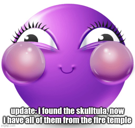 i am fucking insane | update: i found the skulltula, now i have all of them from the fire temple | image tagged in i am fucking insane | made w/ Imgflip meme maker
