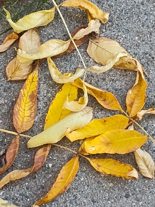 There's crunchy everywhere | made w/ Imgflip meme maker