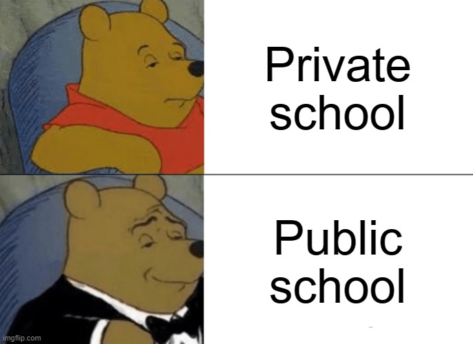 Tuxedo Winnie The Pooh Meme | Private school; Public school | image tagged in memes,tuxedo winnie the pooh,school,so true memes,fun,yes | made w/ Imgflip meme maker