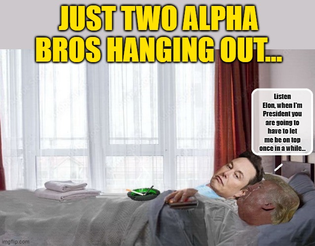 TROUBLE IN PARADISE? Will their unique alliance last beyond the honeymoon stage? | JUST TWO ALPHA BROS HANGING OUT... Listen Elon, when I'm President you are going to have to let me be on top once in a while... | image tagged in donald trump memes,elon musk,donald trump the clown,donald trump is an idiot,political humor | made w/ Imgflip meme maker