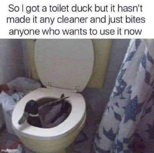 Toile5 Duck | image tagged in toilet,duck,bite | made w/ Imgflip meme maker