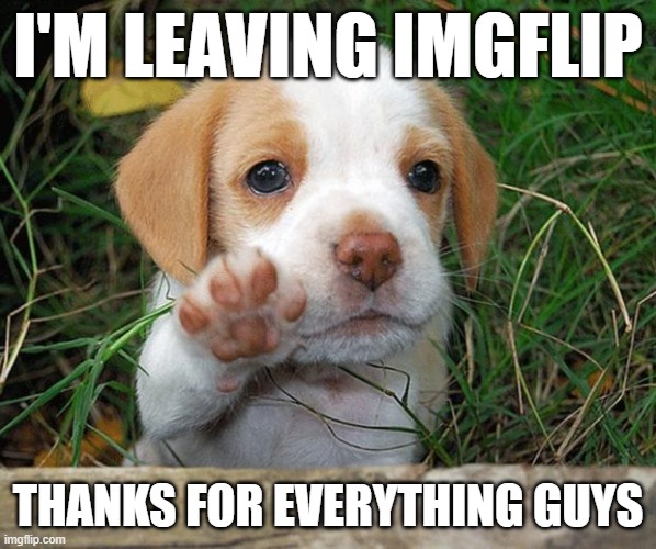 i'm moving to r/minecraftmemes | I'M LEAVING IMGFLIP; THANKS FOR EVERYTHING GUYS | image tagged in dog puppy bye | made w/ Imgflip meme maker