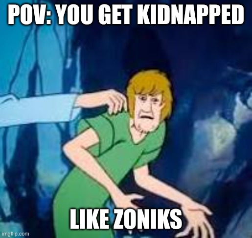 POV: YOU GET KIDNAPPED; LIKE ZONIKS | made w/ Imgflip meme maker