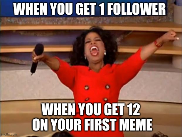 when you get 1 follower and 12 views on meme generator | WHEN YOU GET 1 FOLLOWER; WHEN YOU GET 12  ON YOUR FIRST MEME | image tagged in memes,oprah you get a | made w/ Imgflip meme maker