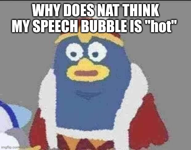 can you dededont | WHY DOES NAT THINK MY SPEECH BUBBLE IS "hot" | image tagged in can you dededont | made w/ Imgflip meme maker