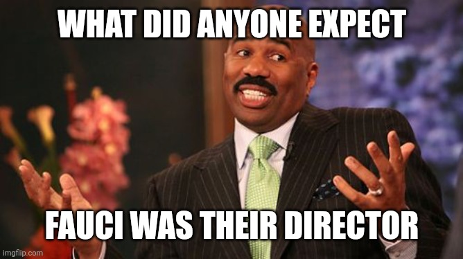 Steve Harvey Meme | WHAT DID ANYONE EXPECT FAUCI WAS THEIR DIRECTOR | image tagged in memes,steve harvey | made w/ Imgflip meme maker