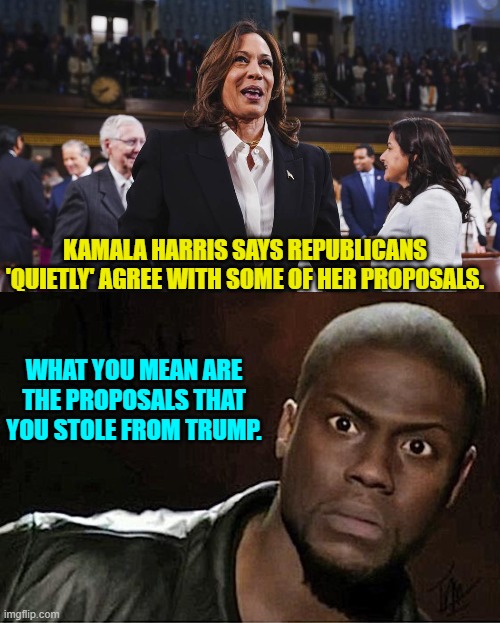 Quick, let's be the leftist controlled Mainstream Media and pretend she did not steal them. | KAMALA HARRIS SAYS REPUBLICANS 'QUIETLY' AGREE WITH SOME OF HER PROPOSALS. WHAT YOU MEAN ARE THE PROPOSALS THAT YOU STOLE FROM TRUMP. | image tagged in yep | made w/ Imgflip meme maker