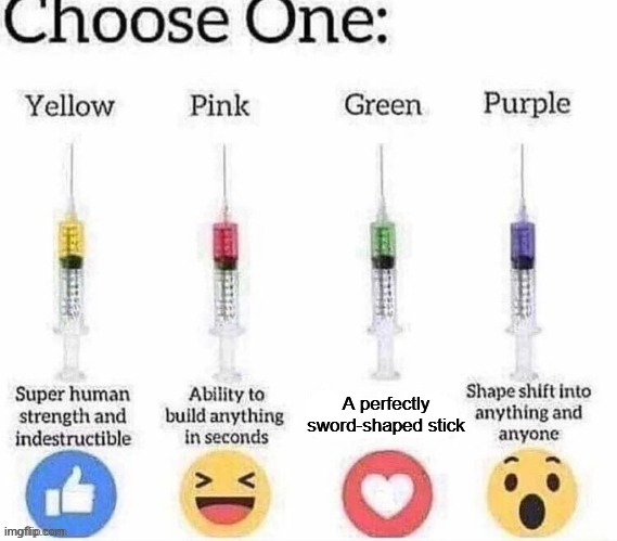 Choose one | A perfectly sword-shaped stick | image tagged in choose one | made w/ Imgflip meme maker