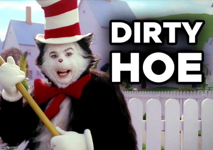 Dirty hoe | image tagged in dirty hoe | made w/ Imgflip meme maker