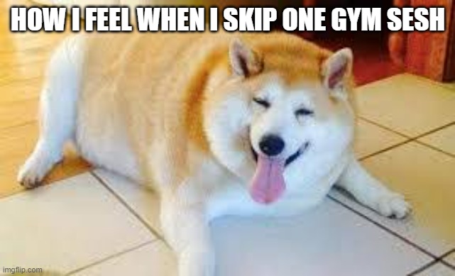 Thicc Doggo | HOW I FEEL WHEN I SKIP ONE GYM SESH | image tagged in thicc doggo | made w/ Imgflip meme maker