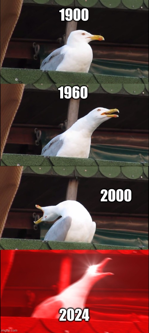 Inhaling Seagull Meme | 1900; 1960; 2000; 2024 | image tagged in memes,inhaling seagull | made w/ Imgflip meme maker