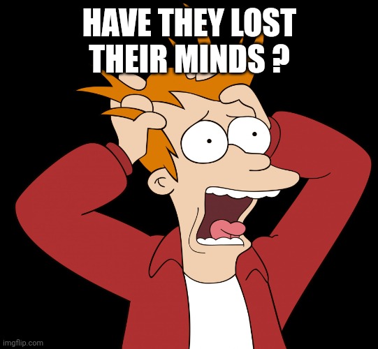 Futurama Fry Screaming | HAVE THEY LOST THEIR MINDS ? | image tagged in futurama fry screaming | made w/ Imgflip meme maker