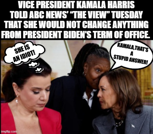 Truly pathetic when even the View know Kamala is an idiot!! | SHE IS AN IDIOT! | image tagged in sam elliott special kind of stupid | made w/ Imgflip meme maker