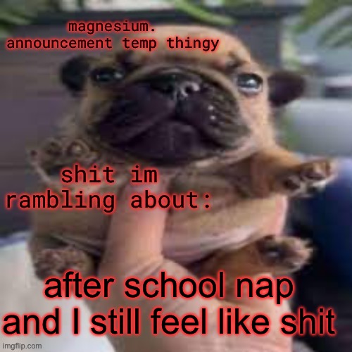 usually it helps | after school nap and I still feel like shit | image tagged in pug temp | made w/ Imgflip meme maker