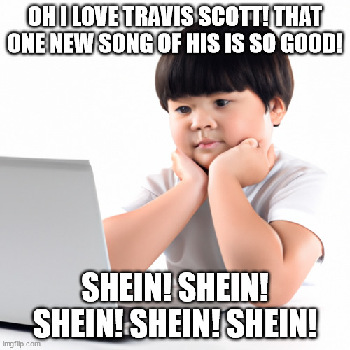 Asian kid on a computer | OH I LOVE TRAVIS SCOTT! THAT ONE NEW SONG OF HIS IS SO GOOD! SHEIN! SHEIN! SHEIN! SHEIN! SHEIN! | image tagged in asian kid on a computer | made w/ Imgflip meme maker