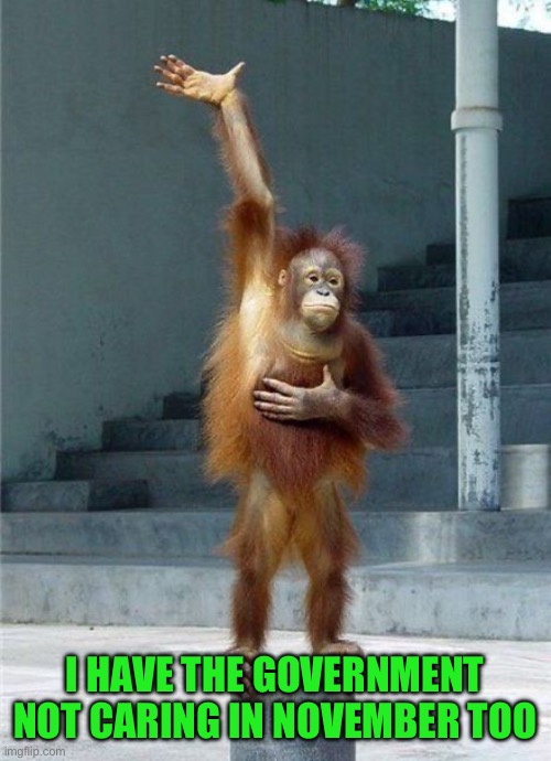 Monkey Raising Hand | I HAVE THE GOVERNMENT NOT CARING IN NOVEMBER TOO | image tagged in monkey raising hand | made w/ Imgflip meme maker