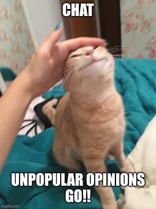 :3 | CHAT; UNPOPULAR OPINIONS
GO!! | image tagged in cat pat | made w/ Imgflip meme maker