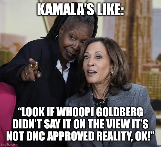 KAMALA’S LIKE:; “LOOK IF WHOOPI GOLDBERG DIDN’T SAY IT ON THE VIEW IT’S NOT DNC APPROVED REALITY, OK!” | made w/ Imgflip meme maker