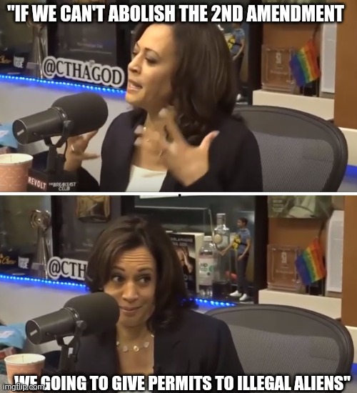 One way or another..... | "IF WE CAN'T ABOLISH THE 2ND AMENDMENT; WE GOING TO GIVE PERMITS TO ILLEGAL ALIENS" | image tagged in conspiracy theory kamala | made w/ Imgflip meme maker