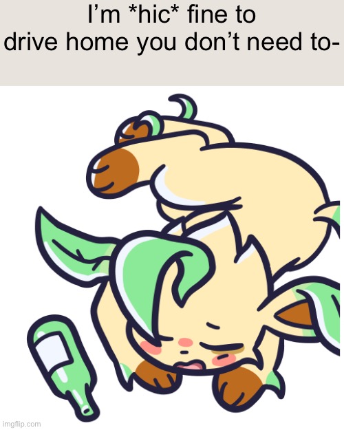 I founds da wine -////- | I’m *hic* fine to drive home you don’t need to- | made w/ Imgflip meme maker