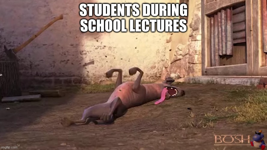 School Boredom | STUDENTS DURING SCHOOL LECTURES | image tagged in dead dog | made w/ Imgflip meme maker