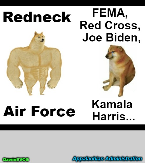 Appalachian Administration | FEMA, 

Red Cross, 

Joe Biden, Redneck; Kamala 

Harris... Air Force; Appalachian Administration; OzwinEVCG | image tagged in buff doge,crying cheems,hurricane,victims,redneck air force,government corruption | made w/ Imgflip meme maker