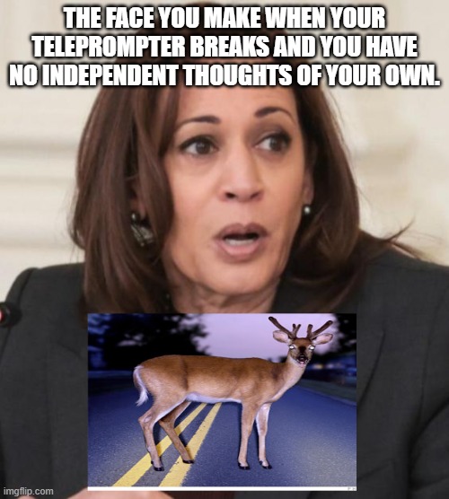 any one who votes for her is just as smart as she is.. | THE FACE YOU MAKE WHEN YOUR TELEPROMPTER BREAKS AND YOU HAVE NO INDEPENDENT THOUGHTS OF YOUR OWN. | image tagged in stupid liberals,kamala harris,zombies,funny memes,truth,donald trump approves | made w/ Imgflip meme maker