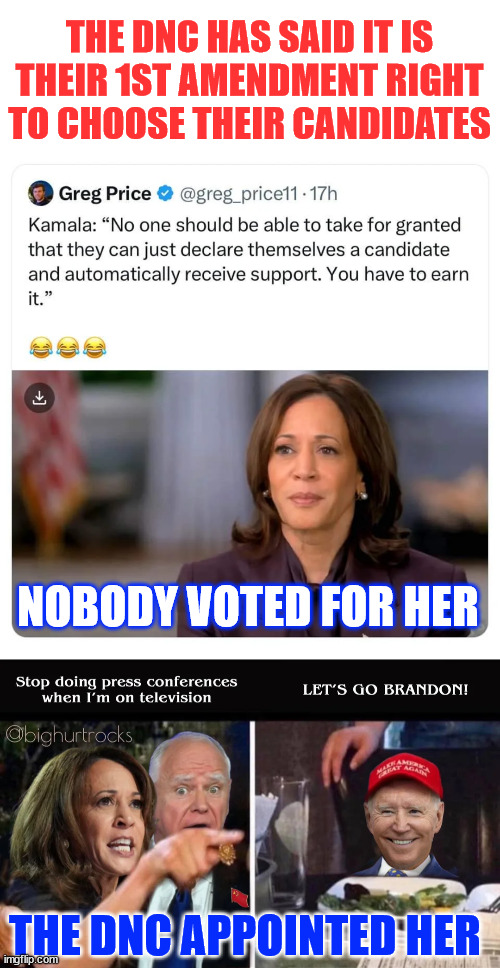 Even with blantant disregard for democracy... dem voters are oblivious | THE DNC HAS SAID IT IS THEIR 1ST AMENDMENT RIGHT TO CHOOSE THEIR CANDIDATES; NOBODY VOTED FOR HER; THE DNC APPOINTED HER | image tagged in dems,are destroying,democracy,want to censor everyone else,make america a dictatorship | made w/ Imgflip meme maker