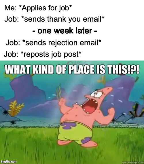 applying for jobs be like | Me: *Applies for job*; Job: *sends thank you email*; - one week later -; Job: *sends rejection email*; Job: *reposts job post* | image tagged in what kind of place is this | made w/ Imgflip meme maker