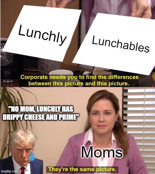 Lucnables vs Lunchly. | Lunchly; Lunchables; "NO MOM, LUNCHLY HAS DRIPPY CHEESE AND PRIME"; Moms | image tagged in memes,they're the same picture,lunch,school,logan paul,ksi | made w/ Imgflip meme maker