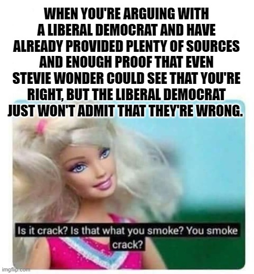 Yes, it's crack. Liberals are smoking crack. | WHEN YOU'RE ARGUING WITH A LIBERAL DEMOCRAT AND HAVE ALREADY PROVIDED PLENTY OF SOURCES AND ENOUGH PROOF THAT EVEN STEVIE WONDER COULD SEE THAT YOU'RE RIGHT, BUT THE LIBERAL DEMOCRAT JUST WON'T ADMIT THAT THEY'RE WRONG. | image tagged in is it crack is that what you smoke you smoke crack | made w/ Imgflip meme maker