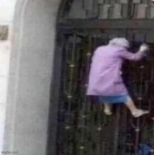 Grandma on a fence | image tagged in grandma on a fence | made w/ Imgflip meme maker