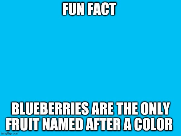 fun fact | FUN FACT; BLUEBERRIES ARE THE ONLY FRUIT NAMED AFTER A COLOR | image tagged in fun fact,colors,fruit,why are you gay | made w/ Imgflip meme maker