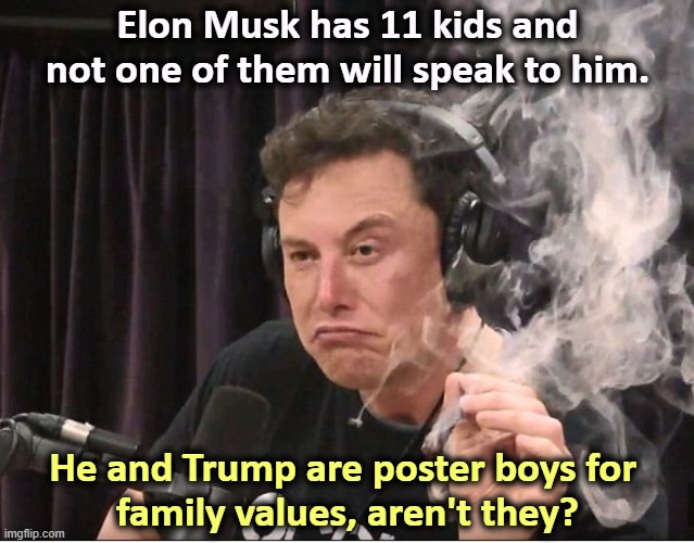 Musk spent Thanksgiving with the Trumps because his own kids can"t stand him. | Elon Musk has 11 kids and not one of them will speak to him. He and Trump are poster boys for 
family values, aren't they? | image tagged in elon musk smoking a joint,elon musk,trump,losers,family values | made w/ Imgflip meme maker