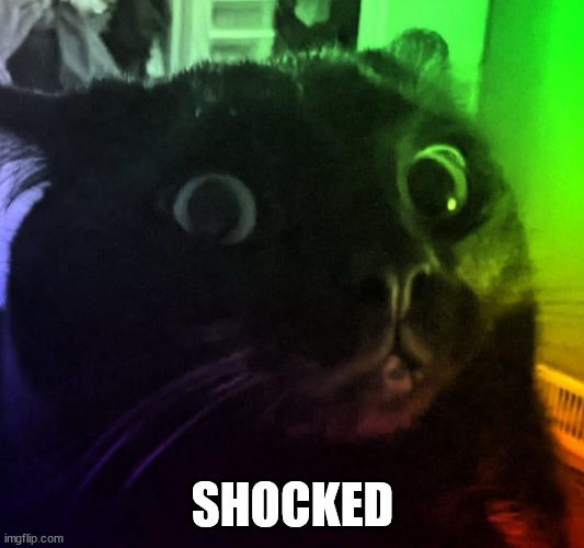 SHOCKED | made w/ Imgflip meme maker