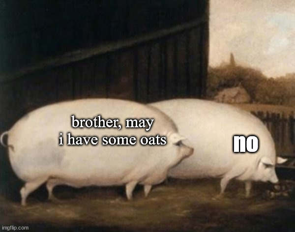 Brother, May I Have Some Oats | no; brother, may i have some oats | image tagged in brother may i have some oats | made w/ Imgflip meme maker