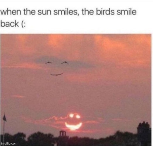 :3 | image tagged in memes,funny,wholesome,animals,birds smile backs | made w/ Imgflip meme maker