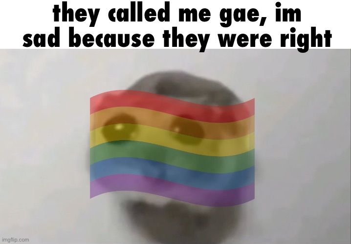 Sad hamster | they called me gae, im sad because they were right | image tagged in sad hamster | made w/ Imgflip meme maker
