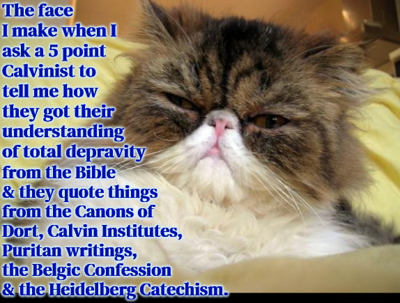 They Have Canons & Catechisms | The face I make when I ask a 5 point Calvinist to tell me how they got their understanding of total depravity; from the Bible & they quote things from the Canons of Dort, Calvin Institutes, Puritan writings, the Belgic Confession & the Heidelberg Catechism. | image tagged in calvinism,arminian,calvinism has canons,molinism,calvinism has catechism like catholicism,4 and 5 point reformed theology | made w/ Imgflip meme maker