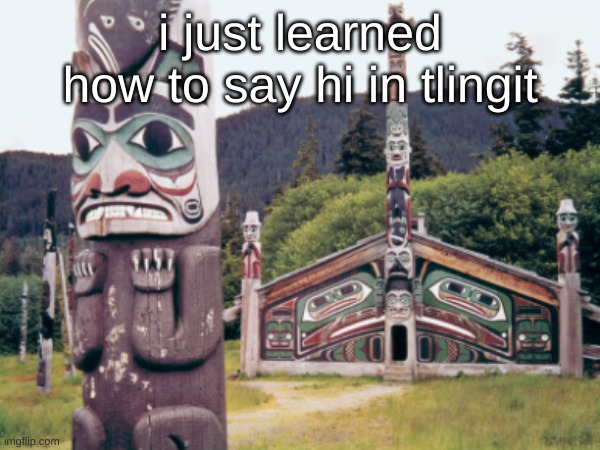 The last three words in my description | i just learned how to say hi in tlingit | image tagged in native american,language,hello | made w/ Imgflip meme maker