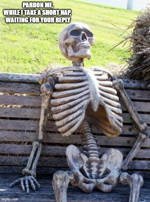 Waiting Skeleton Meme | PARDON ME,
WHILE I TAKE A SHORT NAP, 
WAITING FOR YOUR REPLY | image tagged in memes,waiting skeleton | made w/ Imgflip meme maker