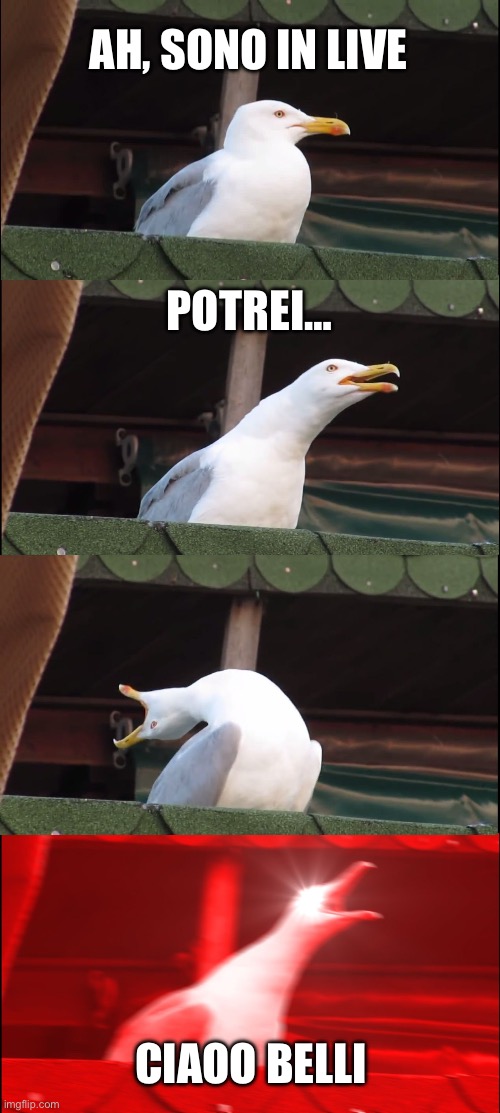 Inhaling Seagull | AH, SONO IN LIVE; POTREI…; CIAOO BELLI | image tagged in memes,inhaling seagull | made w/ Imgflip meme maker