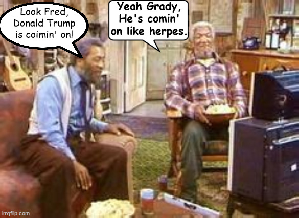 Sanford & Son 2024 | Yeah Grady, He's comin' on like herpes. Look Fred, Donald Trump is coimin' on! | image tagged in what do you got to lose,ben carson,herman cain,maga metv,vaccine,sanford and son 2024 | made w/ Imgflip meme maker