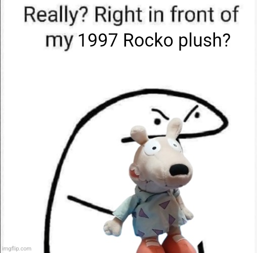 1997 Rocko plush | 1997 Rocko plush? | image tagged in really right in front of my,rocko's modern life,rocko,rocko plush | made w/ Imgflip meme maker