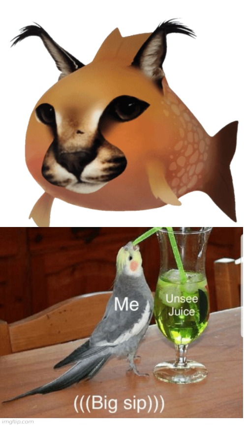 Floppa fish | image tagged in floppa fish,floppa,fish | made w/ Imgflip meme maker