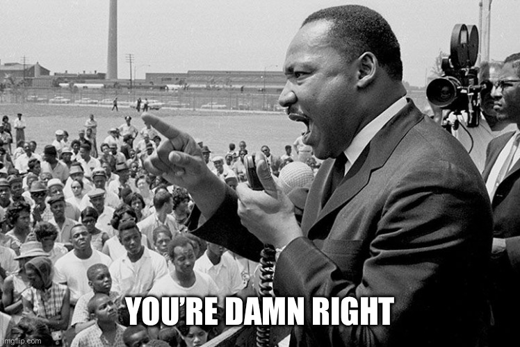 rectifying racism mlk | YOU’RE DAMN RIGHT | image tagged in rectifying racism mlk | made w/ Imgflip meme maker