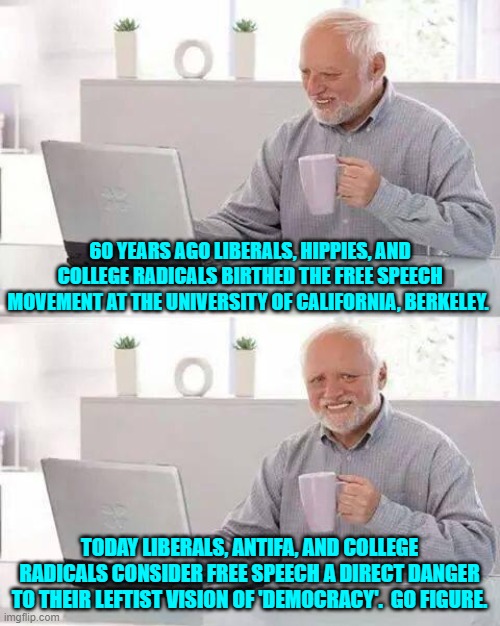 My how time changes . . . everything. | 60 YEARS AGO LIBERALS, HIPPIES, AND COLLEGE RADICALS BIRTHED THE FREE SPEECH MOVEMENT AT THE UNIVERSITY OF CALIFORNIA, BERKELEY. TODAY LIBERALS, ANTIFA, AND COLLEGE RADICALS CONSIDER FREE SPEECH A DIRECT DANGER TO THEIR LEFTIST VISION OF 'DEMOCRACY'.  GO FIGURE. | image tagged in hide the pain harold | made w/ Imgflip meme maker