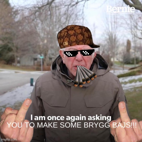 sew | YOU TO MAKE SOME BRYGG BAJS!!! | image tagged in memes,bernie i am once again asking for your support | made w/ Imgflip meme maker