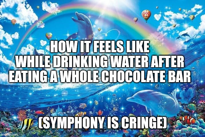 Happy dolphin rainbow | HOW IT FEELS LIKE WHILE DRINKING WATER AFTER EATING A WHOLE CHOCOLATE BAR; (SYMPHONY IS CRINGE) | image tagged in happy dolphin rainbow | made w/ Imgflip meme maker